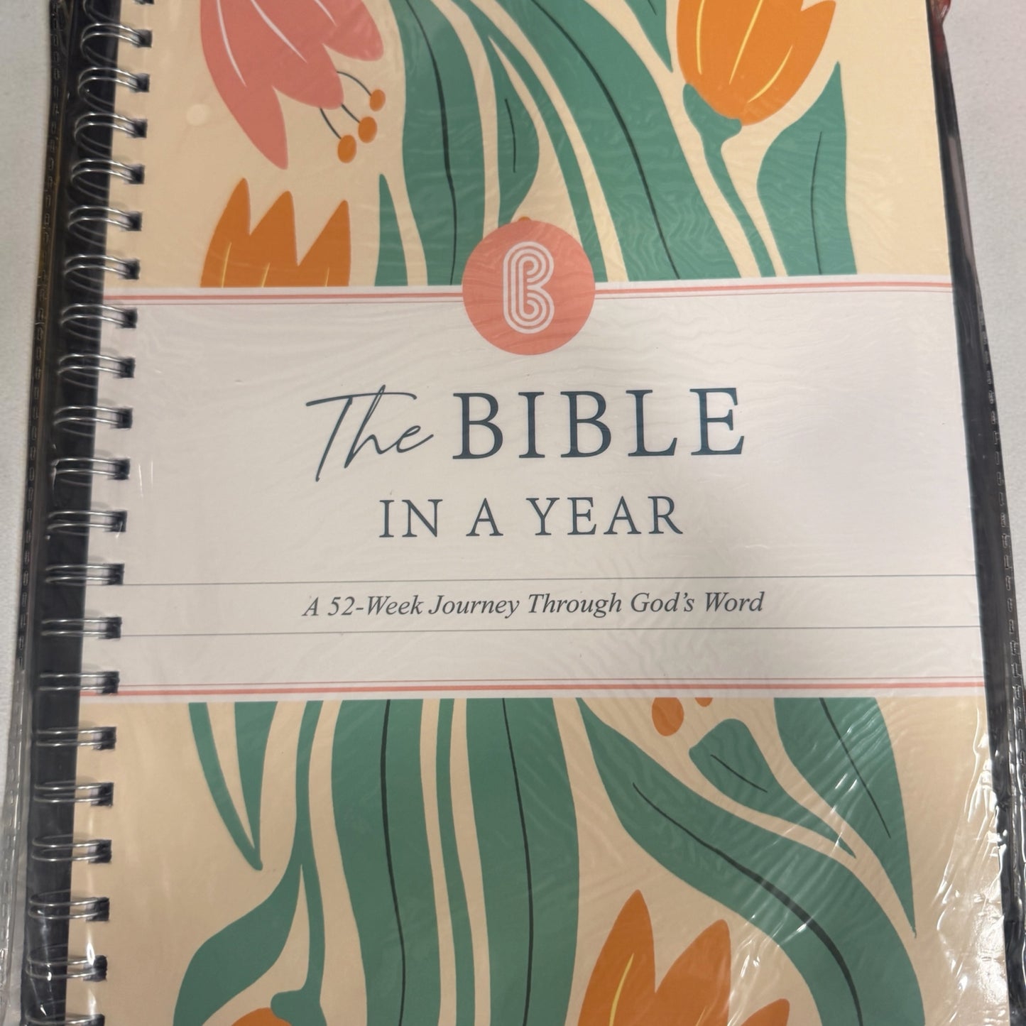 The Bible in a year