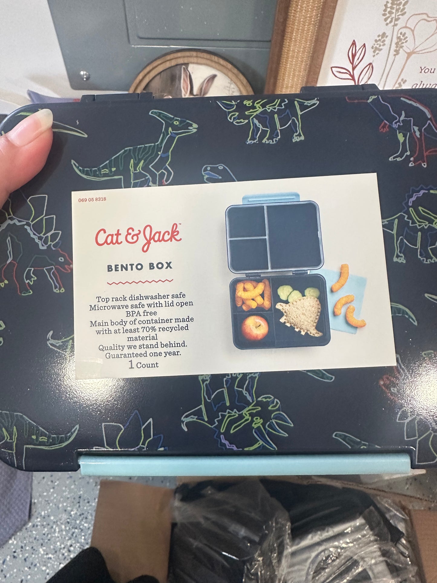 Cat & Jack Bento Box