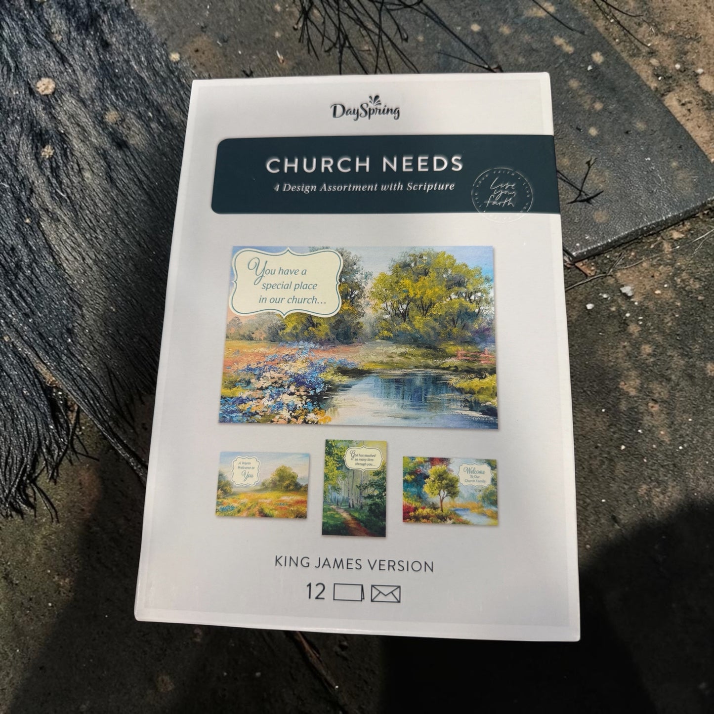 Box Card Set of 12 cards