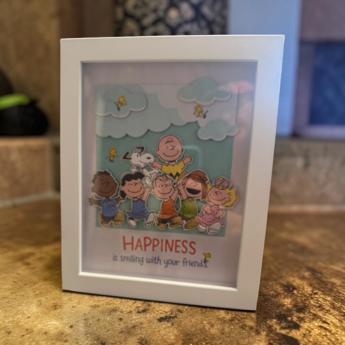 Peanuts-Happiness is....
