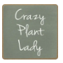 4x4 Block-Crazy Plant Lady